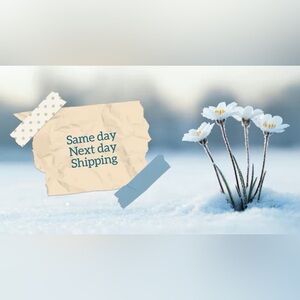 Same or next day shipping! 🌷